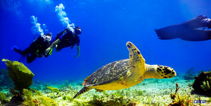 cancun dive