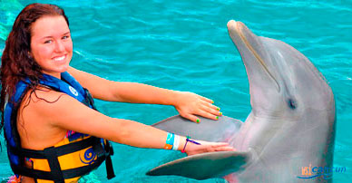cancun dolphin