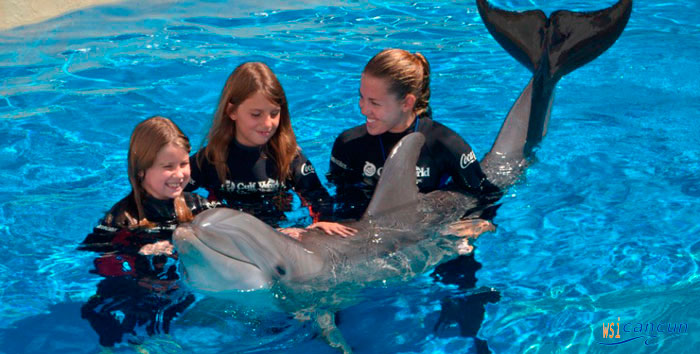 cancun dolphin swim