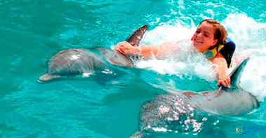 cancun dolphins
