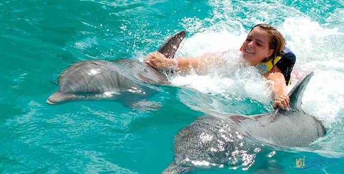 cancun dolphins