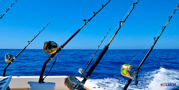 cancun fishing
